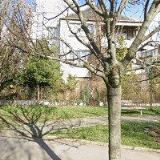 MUDr. JANA RŮŽIČKOVÁ s.r.o.