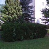 TRYBENEKROVÁ KARLA MUDr.