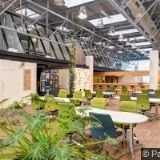 TEGZE OLDŘICH PhDr.-STŘEDISKO PSYCHOLOGICKÝCH SLUŽEB