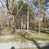 DOKOUPILOVÁ LUCIE DiS.