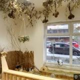 STOMATOLOGICKÁ KLINIKA SKYDENT s.r.o.