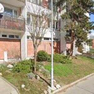 obrazek: avatar MEDINTERRA