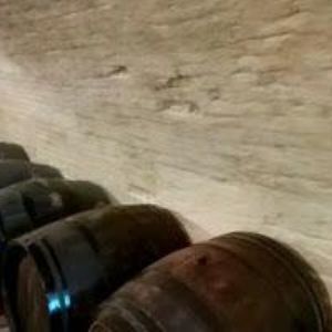 obrazek: avatar MUDr. BĚLÍKOVÁ VOJTĚŠKA s.r.o.