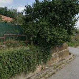 obrazek: avatar LÉKAŘ TIŠNOV s.r.o.