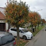 LAŠTŮVKOVÁ VLASTIMILA MUDr.