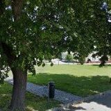 PEŠLOVÁ VĚRA MUDr.