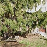 ORDINACE PRO DĚTI A DOROST POD KAŠTANY, BRNO-ŽABOVŘESKY s.r.o.