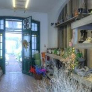 obrazek: avatar LÉKÁRNA U RAKA s.r.o.