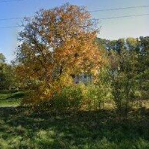 obrazek: avatar AUTO KOLAROVIČ