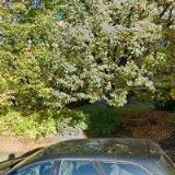 NOVOTNÝ MARTIN-FIAT