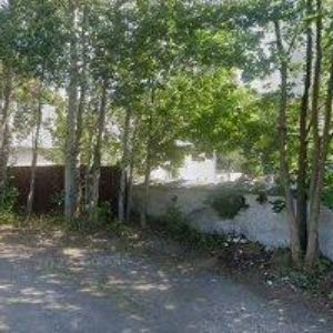 obrazek: avatar KUBÁČEK PETR