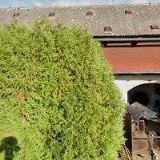 REINIŠ JOSEF-EKOLOGICKÁ LIKVIDACE VOZIDEL A VRAKŮ