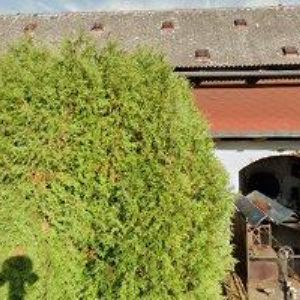 obrazek: avatar REINIŠ JOSEF-EKOLOGICKÁ LIKVIDACE VOZIDEL A VRAKŮ