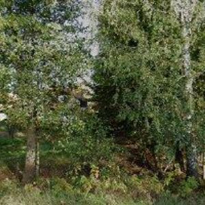 obrazek: avatar AUTOELEKTRO SYSEL