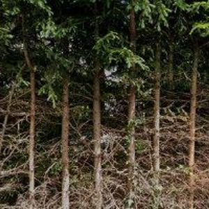 obrazek: avatar HÁK MARTIN