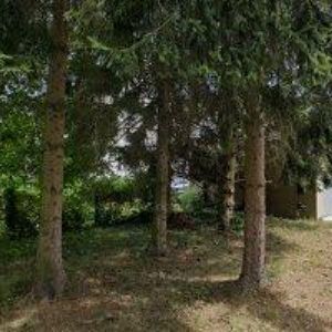 obrazek: avatar STARÝ VÁCLAV