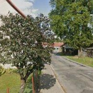 obrazek: avatar WOLLMAN