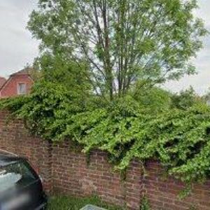 obrazek: avatar AUTOTREND CR s.r.o.