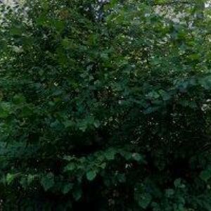 obrazek: avatar U MASEK-AUTOSERVIS, KOVOVÝROBA