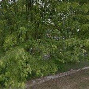 obrazek: avatar AUTO DENNY, spol. s r.o.