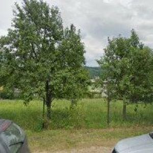 obrazek: avatar CESTUJ KARAVANEM