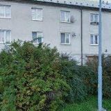 PUKÝŠ LADISLAV-AUTOLAKOVÁNÍ