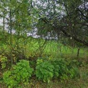 obrazek: avatar PNEUSERVIS RÖBISH