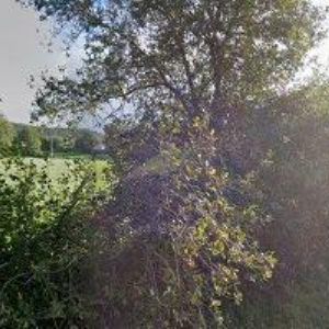 obrazek: avatar AUTOST s.r.o.