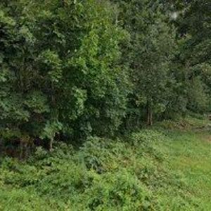 obrazek: avatar PNEUSERVIS NOVÝ BOR