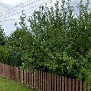 obrazek: avatar HLADĚNA STANISLAV