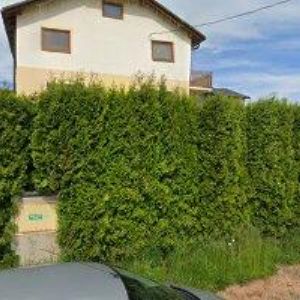 obrazek: avatar MÁLEK PAVEL-PNEUSERVIS