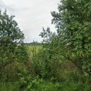 obrazek: avatar LPG-DRBOUT