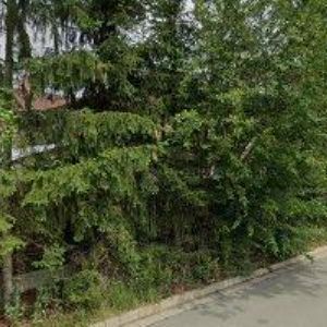 obrazek: avatar AUTOSHOP24.CZ