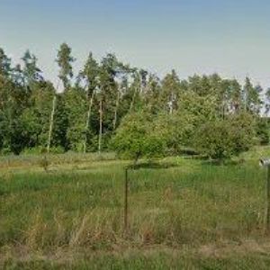 obrazek: avatar MYSLIVEC RADEK-AUTOSERVIS