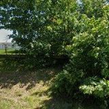 ZDAREC SERVIS s.r.o.