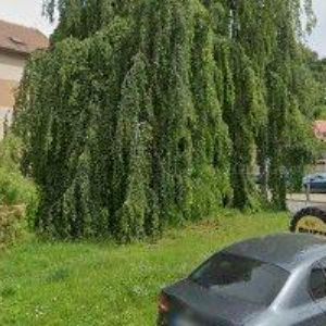 obrazek: avatar SCHINAGL PNEUSERVIS