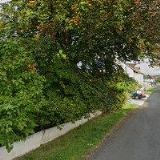 ODTAHOVÁ SLUŽBA ŘÍHA s.r.o.