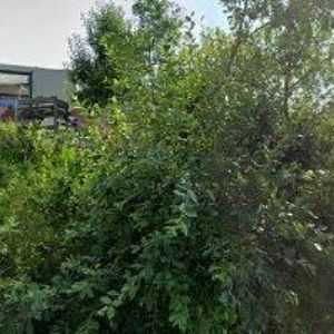 obrazek: avatar HOZÁK JAROSLAV