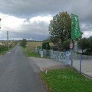 obrazek: avatar STK-ČESKÝ DUB