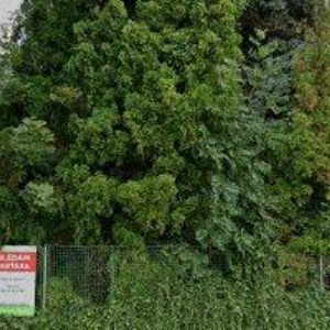 obrazek: avatar PNEUSERVIS-AUTOSERVIS