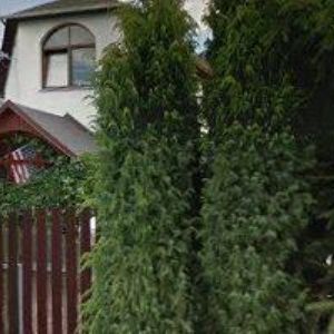 obrazek: avatar VYSKOČIL BEDŘICH-ODTAHOVÁ SLUŽBA