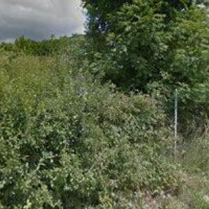 obrazek: avatar LEŽÁK RADEK