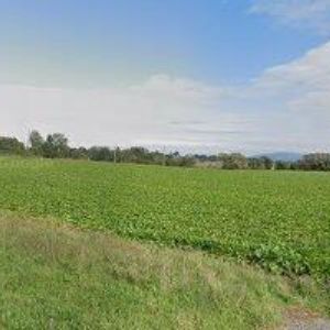 obrazek: avatar PORŠ JAN