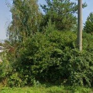 obrazek: avatar MB AUTOSERVIS A MB TRANSSPED