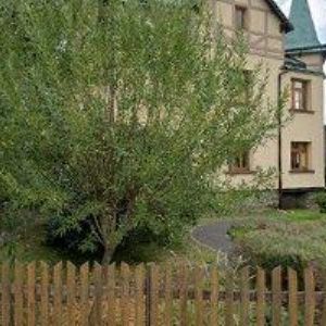 obrazek: avatar JUŠKA MILOSLAV