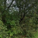 MUŽÁK VLADIMÍR-AUTOSERVIS M+M