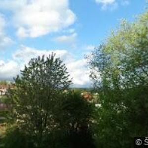 obrazek: avatar AMSU s.r.o.