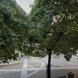 obrazek: avatar ROSIMPEX s.r.o.