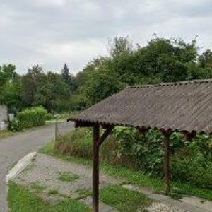obrazek: avatar MIKEL FRANTIŠEK