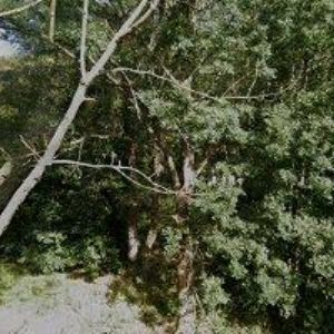 obrazek: avatar AUTOŠKOLA HORNA